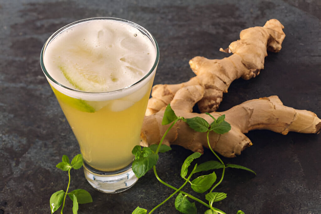 Ginger Bug Recipe